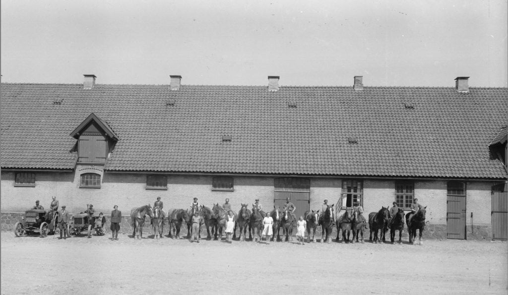 17.10  Harrestedgård,Næstved. Æsken mærket 1942