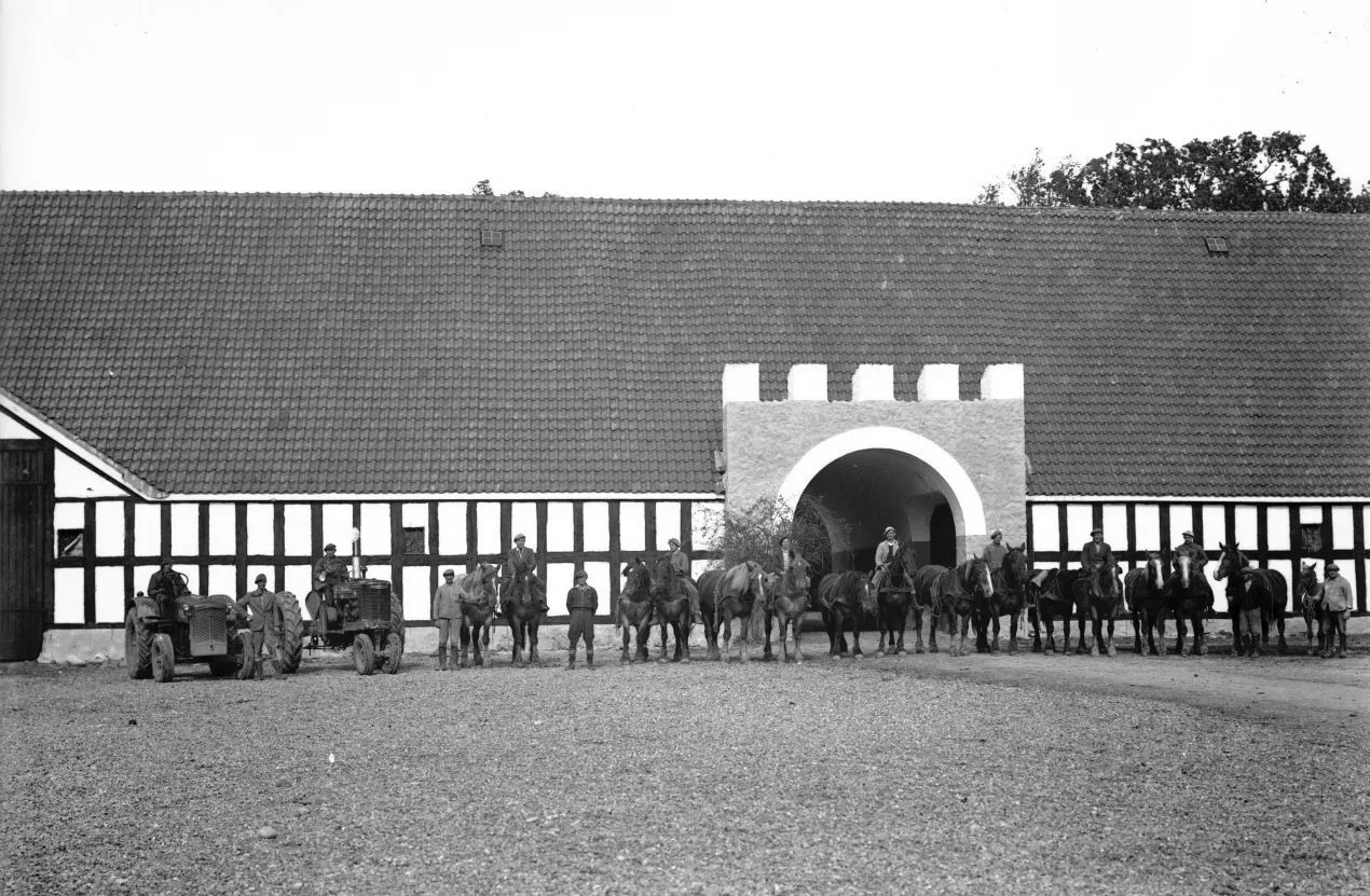 14.15 Rosendal gods. År 1948.