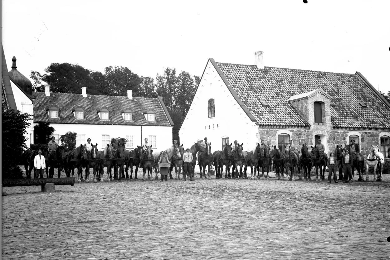 19.2 Hørbygård, Tuse næs.