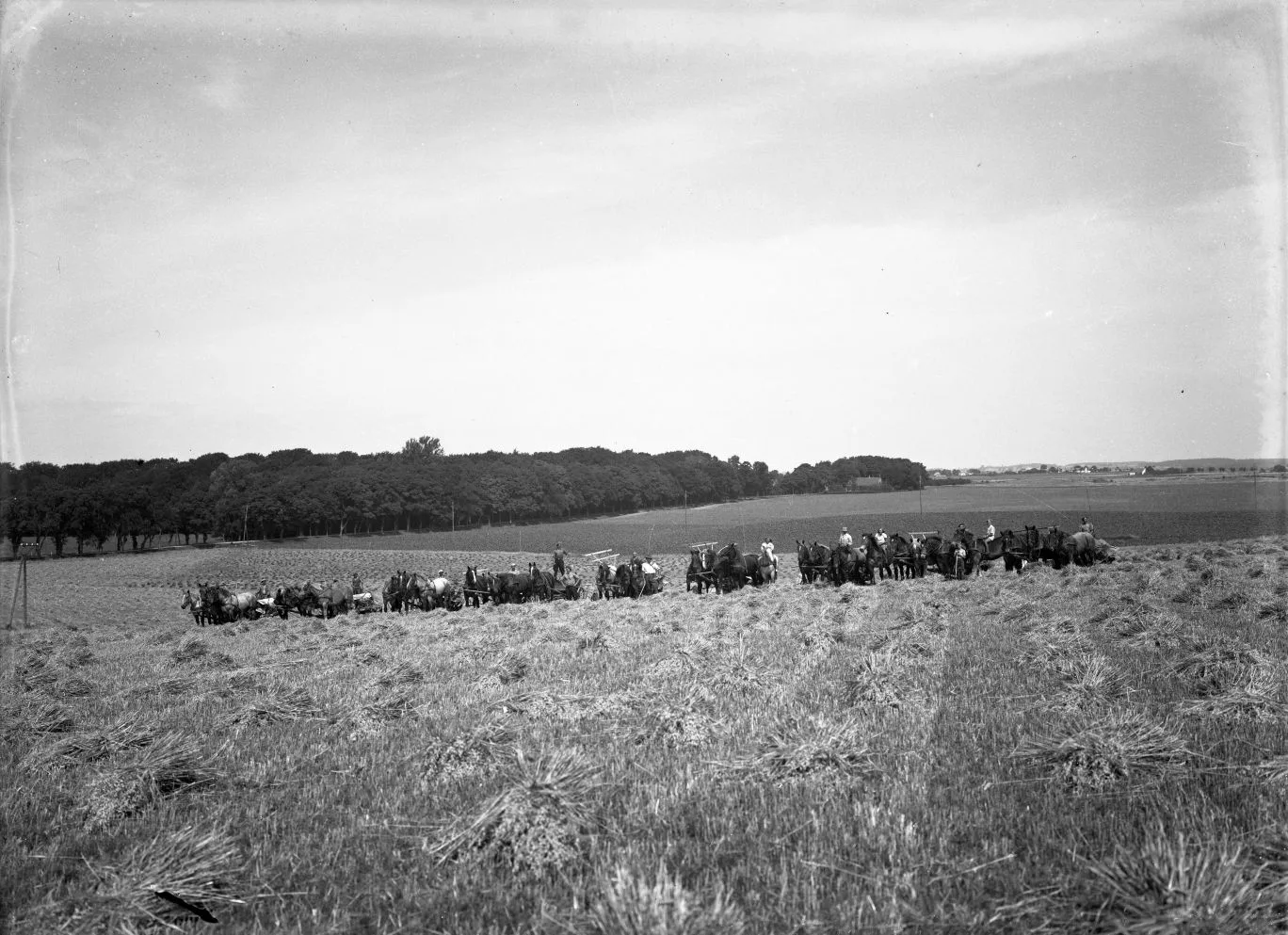 116.9 Rosenfeldt gods, Vordingborg