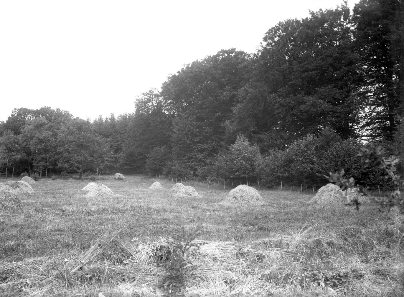 131.2 Skousbo, år 1937