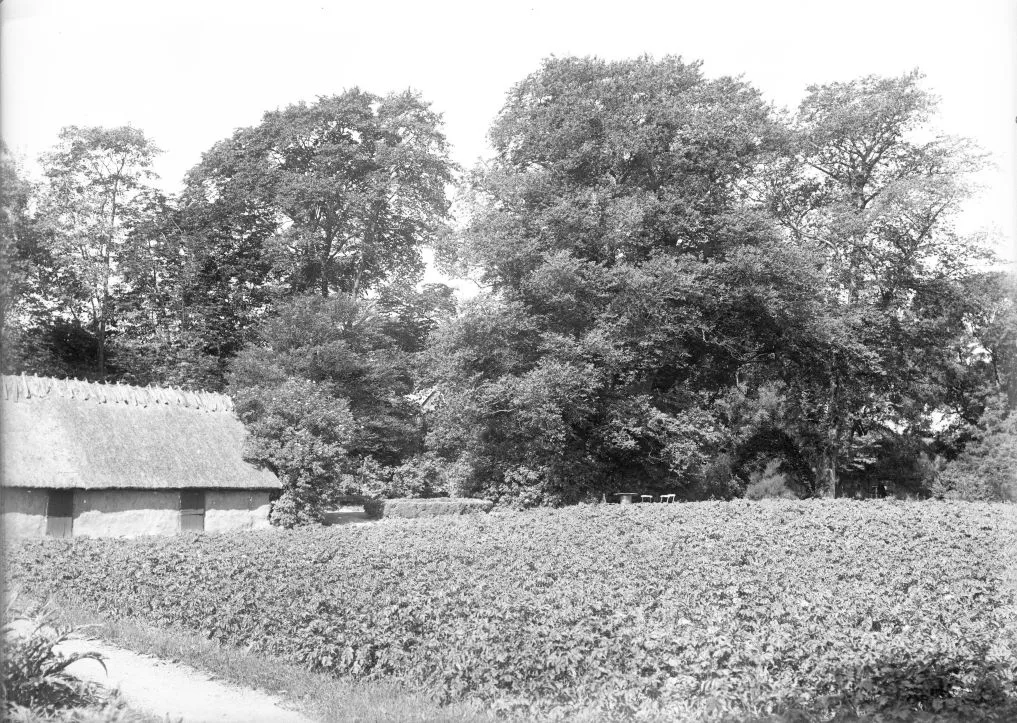 131.5 år 1937