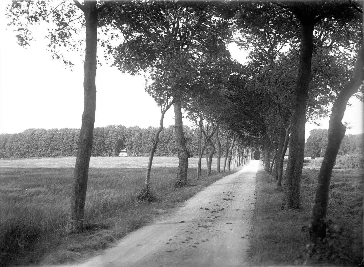 131.6 år 1937