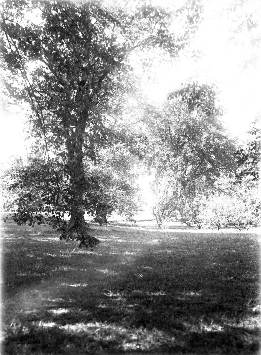 131.8 år 1937