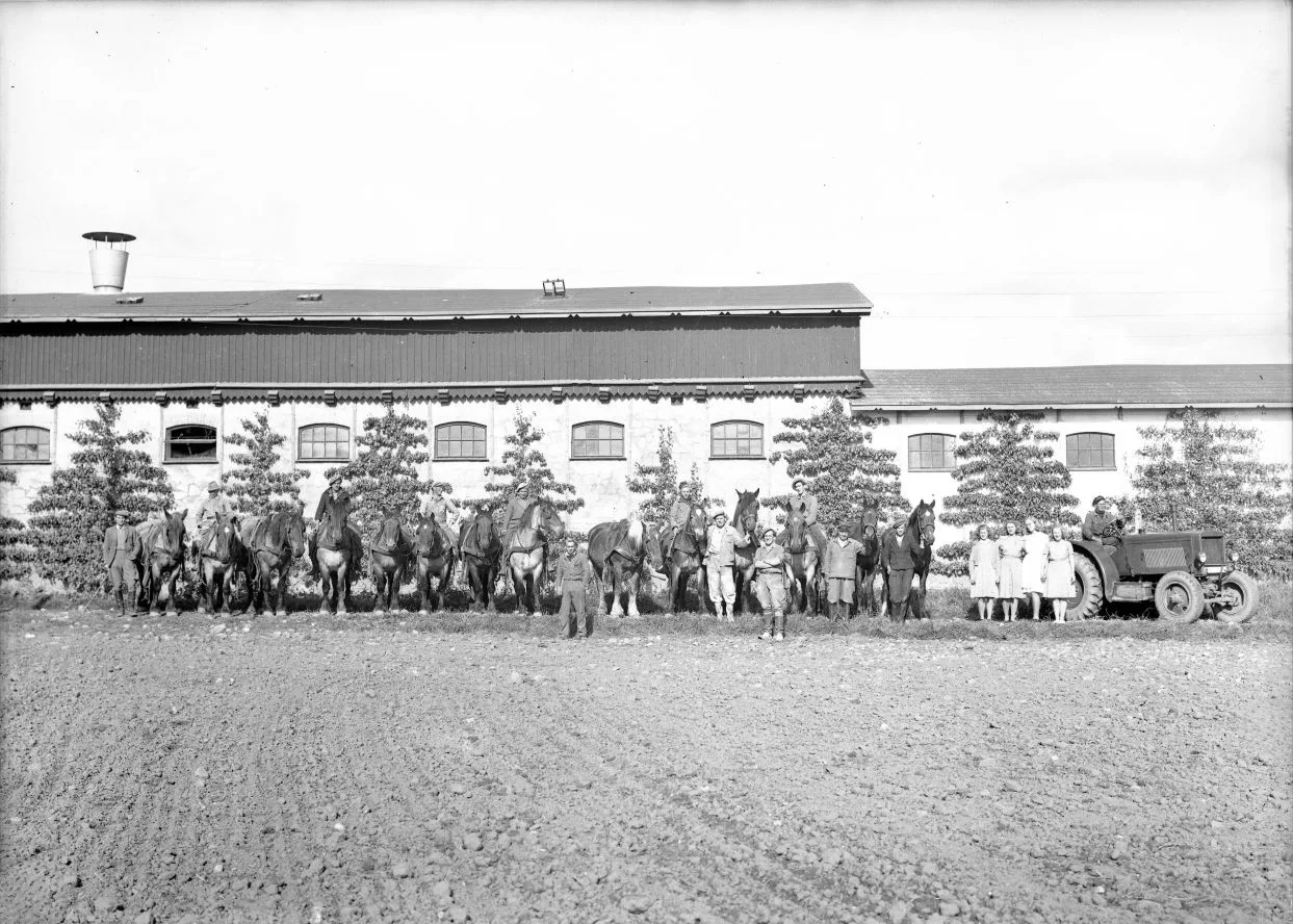 232.3 Strandegård år 1947