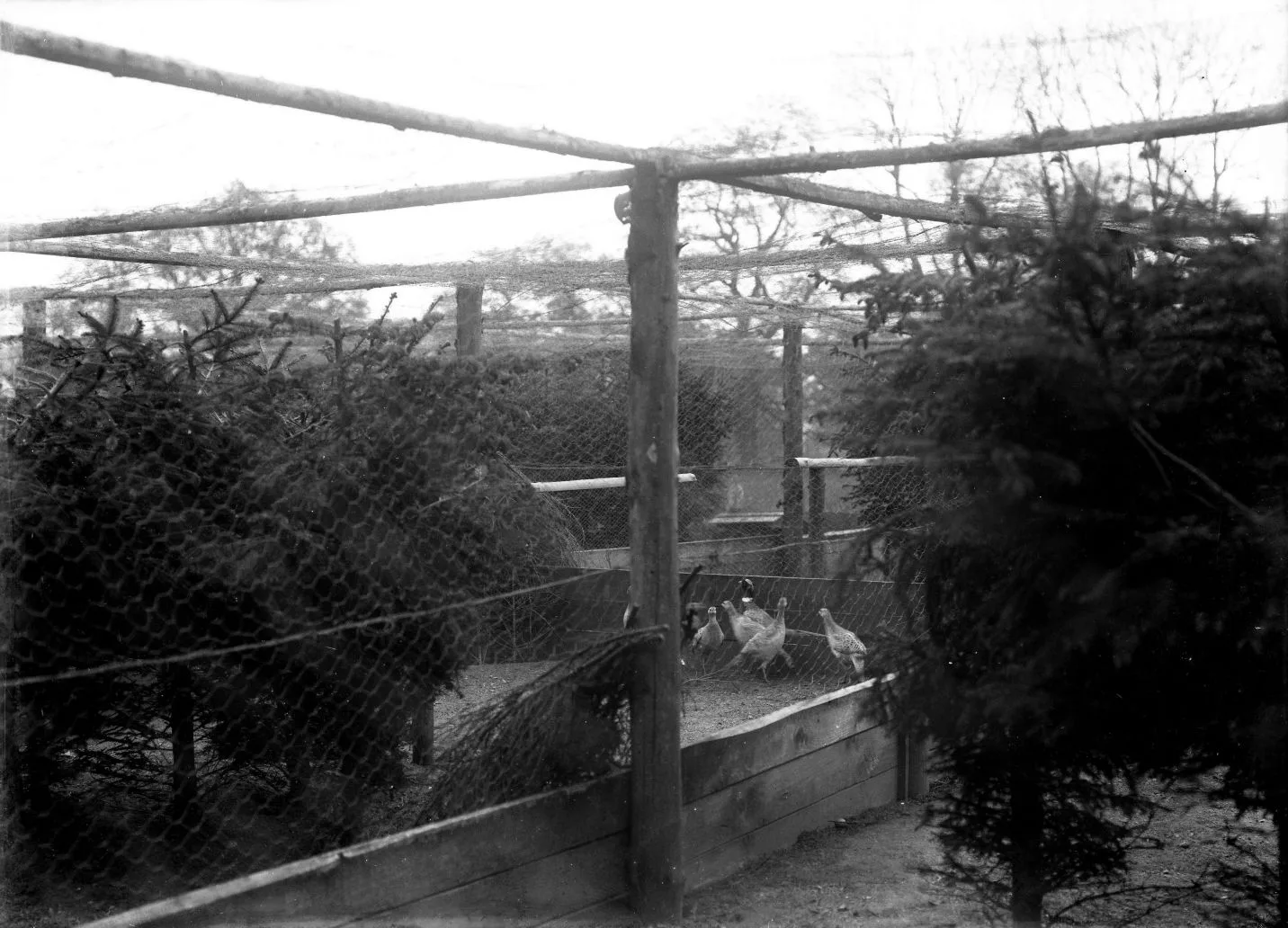 234.2 Overjægeren på Gjorslev gods står der på æsken.