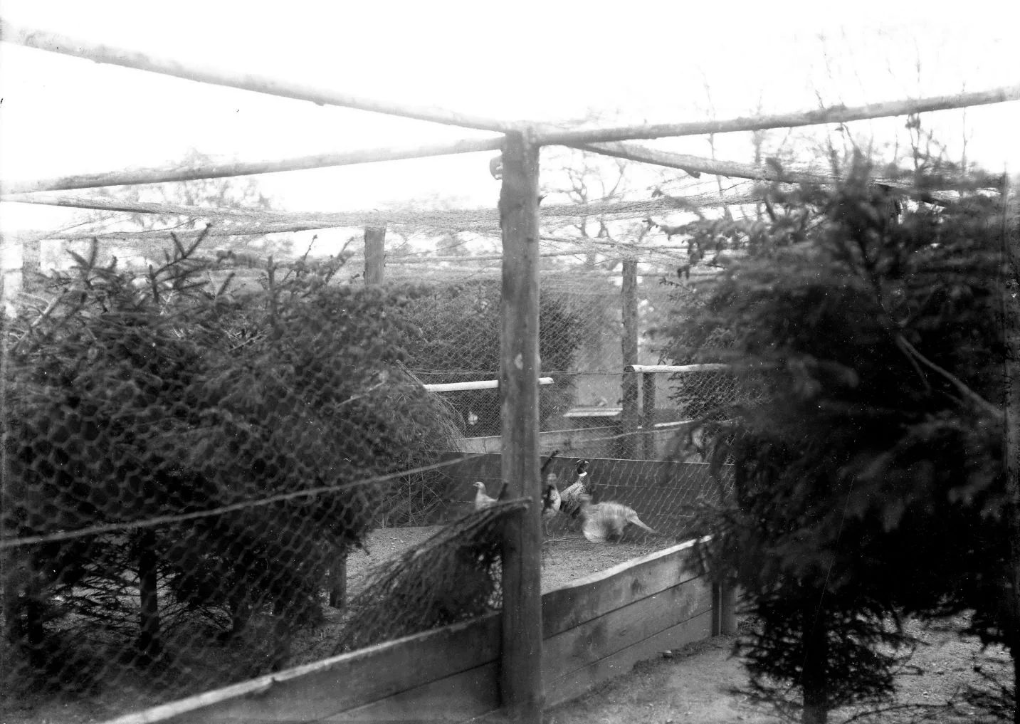 234.4 Overjægeren på Gjorslev gods står der på æsken.