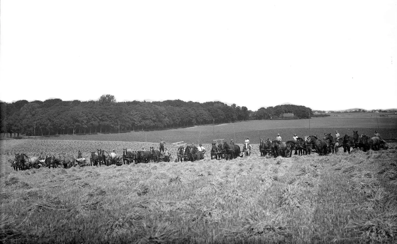 252.4 Rosenfeldt gods, Vordingborg