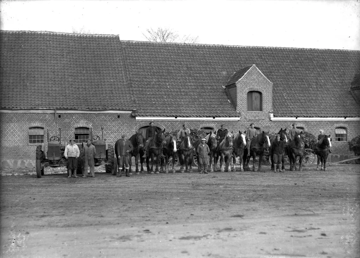 267.3 Edelgave gods år 1953-54