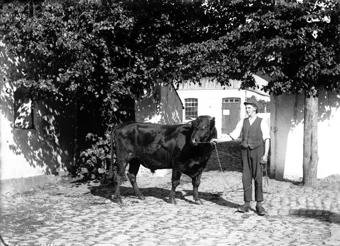 348.1 348.1 år 1929