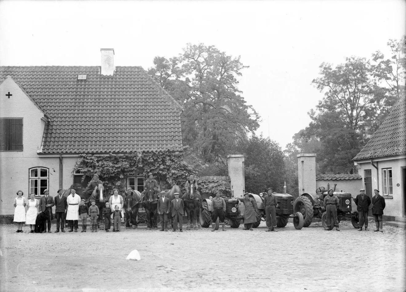 391.3 Herlufsholm
