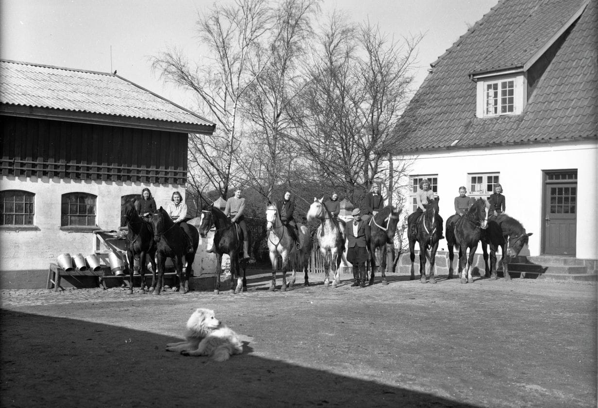 395.1 395.1 år 1942