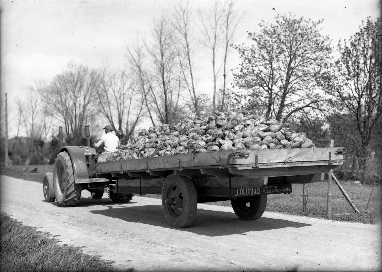 397.1 Columbus, Skjoldenæsholm år 1948