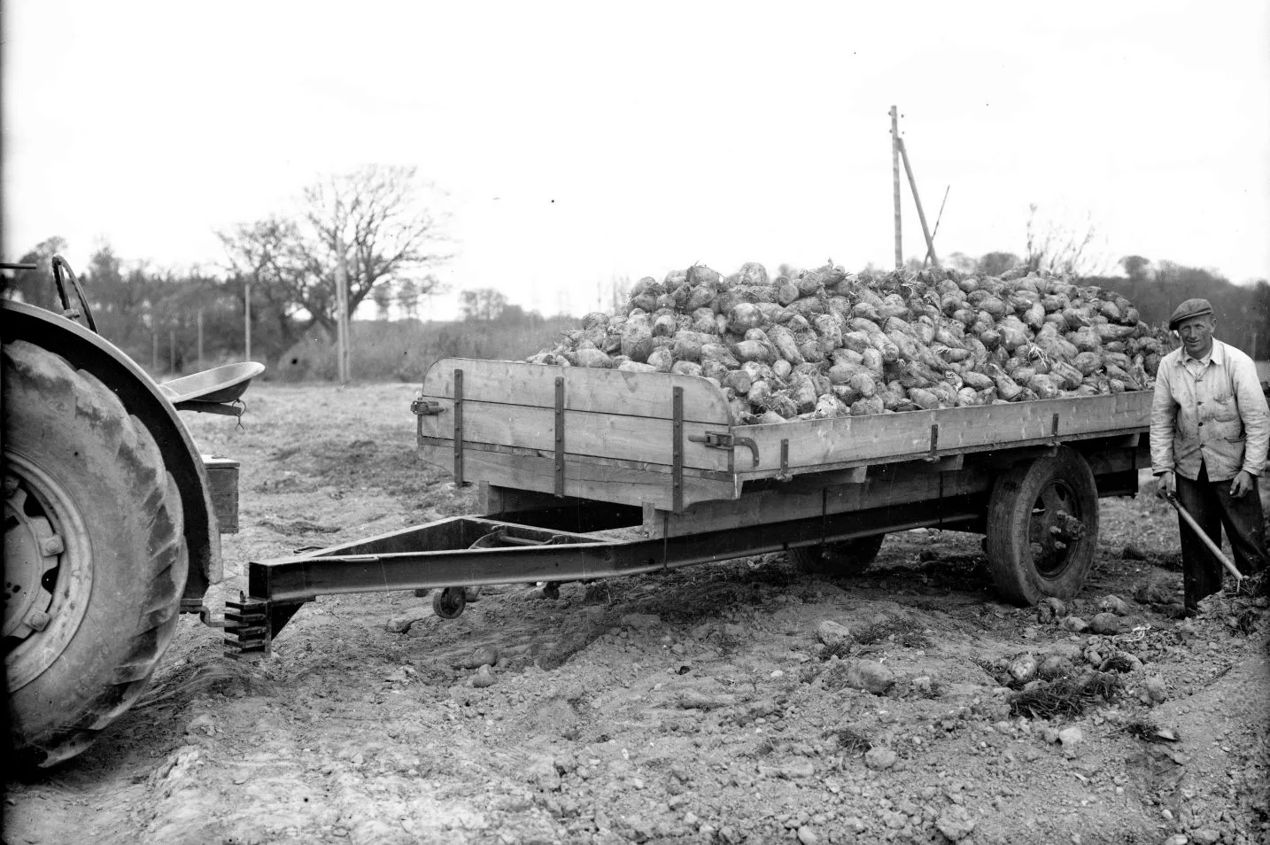 397.3 Columbus, Skjoldenæsholm år 1948