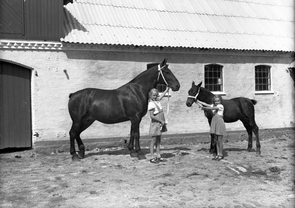 408.3 408.3 år 1948