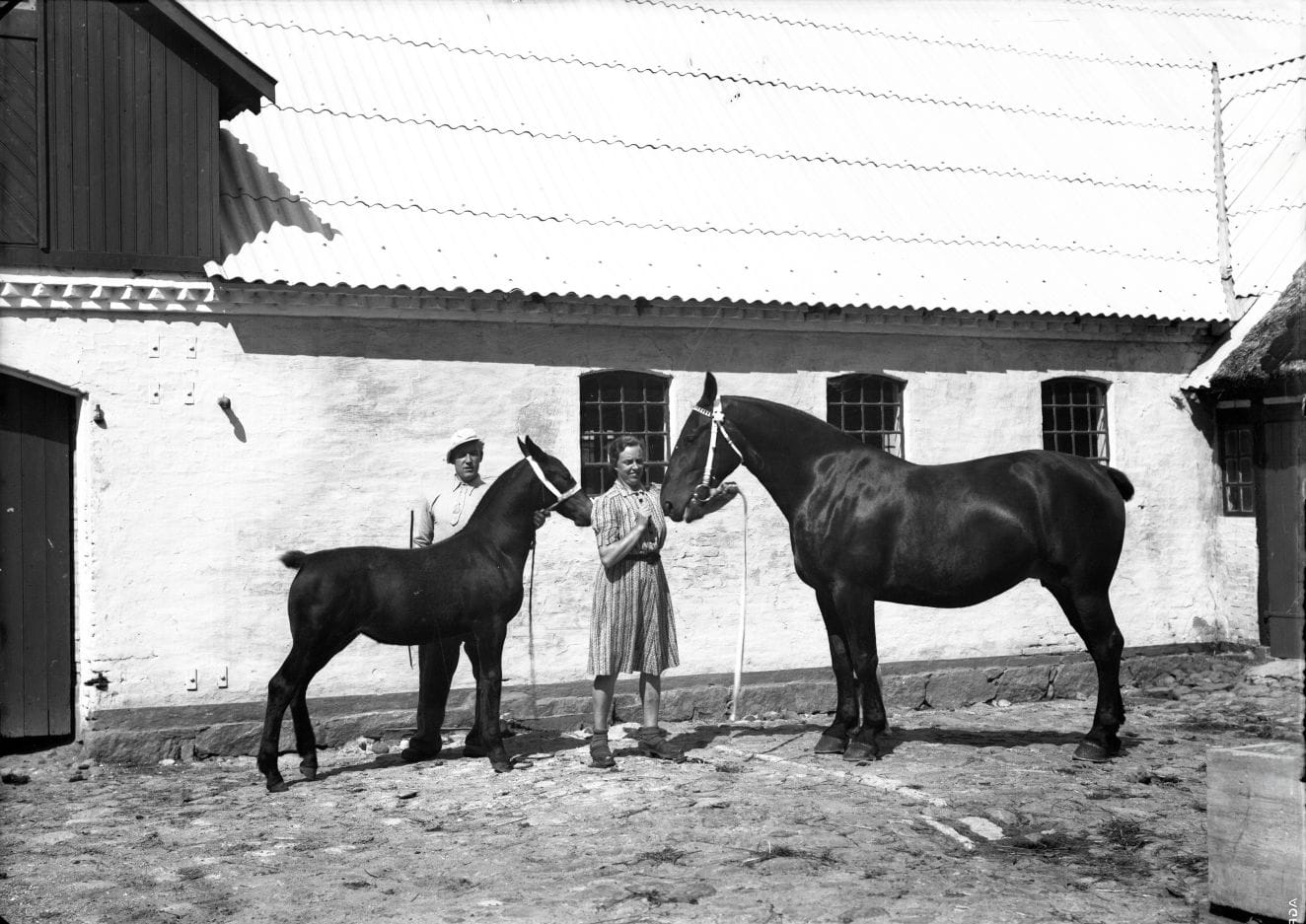 408.4 408.4 år 1948