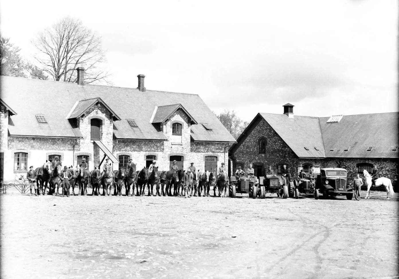 425.1 Bregentved avlsgård år 1949